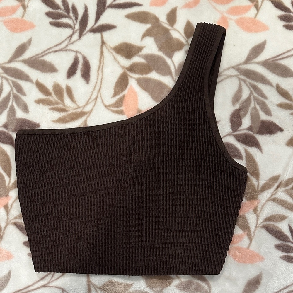 Babaton Brown Top